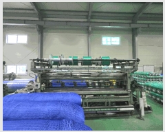  2025Ÿ��1266 ��� ���ɱ� ������ ���� 346      ������