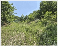  2025Ÿ��1334  �����