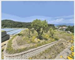  2025Ÿ��1334  �����