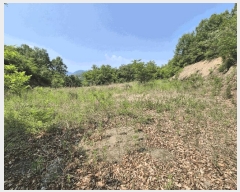  2025Ÿ��1334  �����