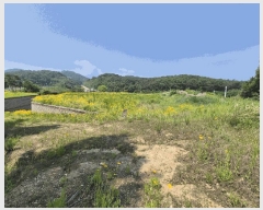  2025Ÿ��1334  �����