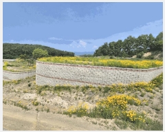  2025Ÿ��1334  �����