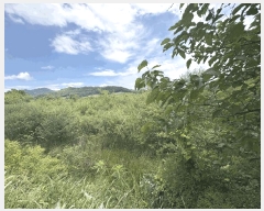  2025Ÿ��1389 ��� ���ֱ� ���׸� ���渮 640      ����(��)���