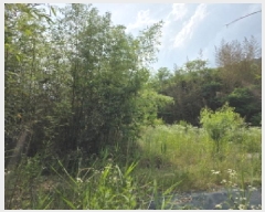  2025Ÿ��1389 ��� ���ֱ� ���׸� ���渮 640      ����(��)���