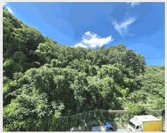  2025Ÿ��1747  �Ӿ߰��