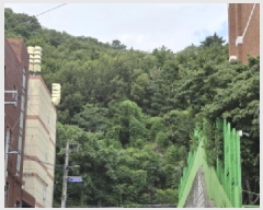  2025Ÿ��1747  �Ӿ߰��