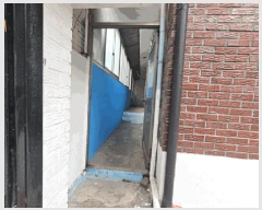  2025Ÿ��1983 �뱸 �޼��� ������ 432       ���ð��