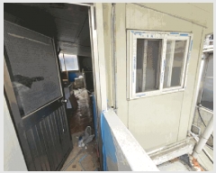  2025Ÿ��1983 �뱸 �޼��� ������ 432       ���ð��