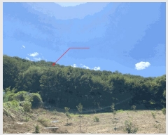  2025Ÿ��2283 �뱸 �޼��� ������ ��õ�� 32      ����(��)���