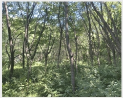  2025Ÿ��2283 �뱸 �޼��� ������ ��õ�� 32      ����(��)���