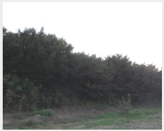  2025Ÿ��2283 �뱸 �޼��� ������ ��õ�� 32      ����(��)���