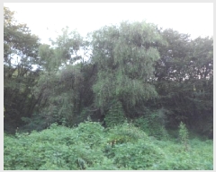  2025Ÿ��2283 �뱸 �޼��� ������ ��õ�� 32      ����(��)���