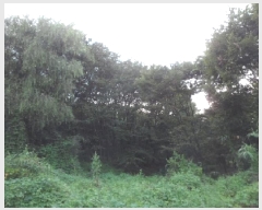  2025Ÿ��2283 �뱸 �޼��� ������ ��õ�� 32      ����(��)���