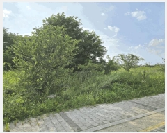  2025Ÿ��2528 �뱸 �޼��� ������ �� 943-4      ����(����)���