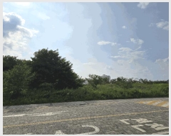  2025Ÿ��2528 �뱸 �޼��� ������ �� 943-4      ����(����)���
