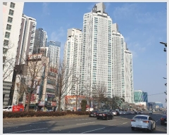  2025Ÿ30028 뱸 ޼ ͷ 169, 103 212101ȣ (ﵿ,帶ũƮ)    Ʈ