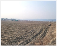  2025Ÿ��30141 �뱸 �޼��� ������ �Ŵ縮 1249      ����(��)���