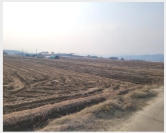  2025Ÿ��30141 �뱸 �޼��� ������ �Ŵ縮 1249      ����(��)���