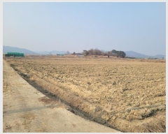  2025Ÿ��30141 �뱸 �޼��� ������ �Ŵ縮 1249      ����(��)���