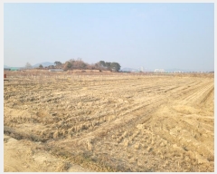  2025Ÿ��30141 �뱸 �޼��� ������ �Ŵ縮 1249      ����(��)���