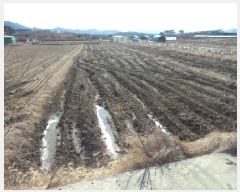  2025Ÿ��30141 �뱸 �޼��� ������ �Ŵ縮 1249      ����(��)���