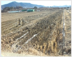  2025Ÿ��30141 �뱸 �޼��� ������ �Ŵ縮 1249      ����(��)���