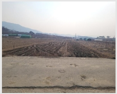  2025Ÿ��30141 �뱸 �޼��� ������ �Ŵ縮 1249      ����(��)���