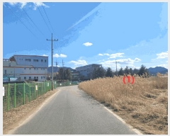  2025Ÿ30932  ֱ  긮 271-1      ()