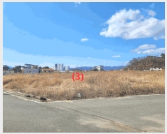  2025Ÿ30932  ֱ  긮 271-1      ()