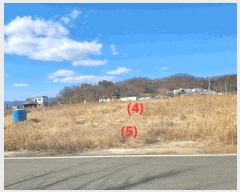  2025Ÿ30932  ֱ  긮 271-1      ()