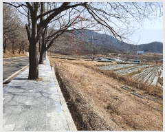  2025Ÿ��31028  ����