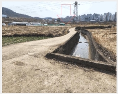  2025Ÿ��31028  ����