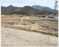  2025Ÿ��31028  ����