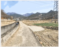  2025Ÿ��31028  ����