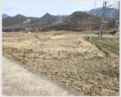  2025Ÿ��31028  ����