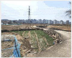  2025Ÿ��31028  ����