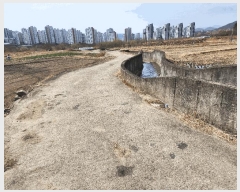  2025Ÿ��31028  ����