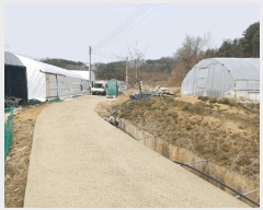  2025Ÿ��31047  �����