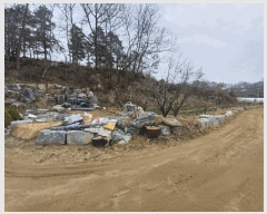  2025Ÿ��31047  �����