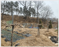  2025Ÿ��31047  �����