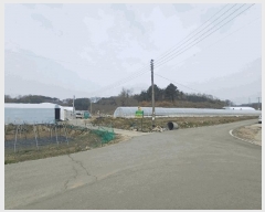  2025Ÿ��31047  �����