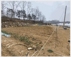  2025Ÿ��31047  �����