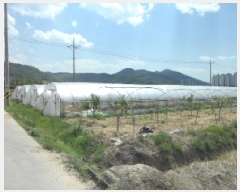  2025Ÿ��31094 �뱸 �޼��� ȭ���� ��ȭ�� 93      ����(��)���