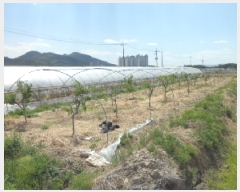  2025Ÿ��31094 �뱸 �޼��� ȭ���� ��ȭ�� 93      ����(��)���