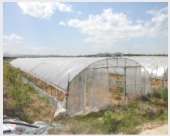  2025Ÿ��31094 �뱸 �޼��� ȭ���� ��ȭ�� 93      ����(��)���