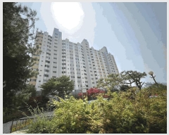  2025Ÿ��31125 �뱸 �޼��� ��굿 501-2 ����2������Ÿ�� 106�� 11��1107ȣ    ����Ʈ���