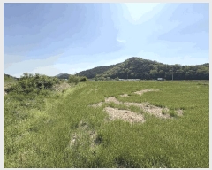  2025Ÿ��31178 �뱸 �޼��� ������ ���¸� 730-1      ����(��)���