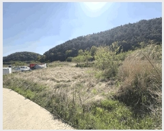  2025Ÿ��31178 �뱸 �޼��� ������ ���¸� 730-1      ����(��)���