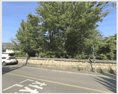  2025Ÿ��31178 �뱸 �޼��� ������ ���¸� 730-1      ����(��)���