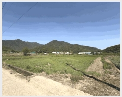  2025Ÿ��31178 �뱸 �޼��� ������ ���¸� 730-1      ����(��)���